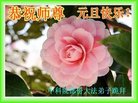 Published on 12/31/2017 ���ֹ�,�й����ظߵ�ԺУ������ҵ������ӹ���ʦ�������