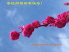 Published on 1/1/2018 ���ֹ�,��½�󷨵��ӹ�ףʦ�������(33��)