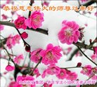 Published on 1/1/2018 ���ֹ�,��½�󷨵��ӹ�ףʦ�������(41��)