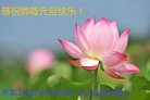 Published on 1/1/2018 ���ֹ�,��½�󷨵��ӹ�ףʦ�������(41��)