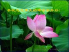 Published on 1/1/2018 ���ֹ�,��½�󷨵��ӹ�ףʦ�������(25��)