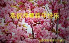 Published on 1/1/2018 ���ֹ�,��½�󷨵��ӹ�ףʦ�������(33��)
