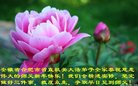 Published on 1/1/2018 ���ֹ�,��½�󷨵��ӹ�ףʦ�������(34��)