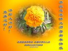 Published on 12/31/2017 ���ֹ�,�й����ظߵ�ԺУ������ҵ������ӹ���ʦ�������