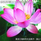 Published on 1/1/2018 ���ֹ�,��½�󷨵��ӹ�ףʦ�������(31��)