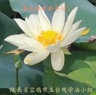 ���ֹ�,�����󷨵��ӹ�ףʦ�������(25��)