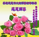 ���ֹ�,��ľ˹�󷨵��ӹ�ףʦ�������(18��)