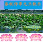 ���ֹ�,���ϴ󷨵��ӹ�ףʦ�������(29��)