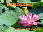 ���ֹ�,��������󷨵��ӹ�ףʦ�������(25��)