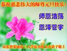 Published on 1/1/2018 ���ֹ�,��½�󷨵��ӹ�ףʦ�������(29��)