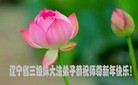 Published on 1/1/2018 ���ֹ�,��½�󷨵��ӹ�ףʦ�������(26��)