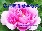 ���ֹ�,�人�󷨵��ӹ�ףʦ�������(24��)