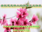Published on 1/1/2018 ���ֹ�,��½�󷨵��ӹ�ףʦ�������(28��)