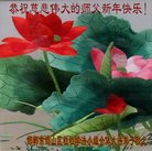 Published on 1/1/2018 ���ֹ�,��½�󷨵��ӹ�ףʦ�������(28��)