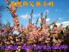 Published on 1/1/2018 ���ֹ�,��½�󷨵��ӹ�ףʦ�������(44��)