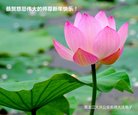 Published on 1/1/2018 ���ֹ�,��½�󷨵��ӹ�ףʦ�������(34��)