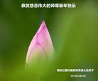 Published on 1/1/2018 ���ֹ�,��½�󷨵��ӹ�ףʦ�������(32��)
