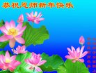 Published on 1/1/2018 ���ֹ�,��½�󷨵��ӹ�ףʦ�������(29��)