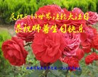 Published on 5/13/2018 ���ֹ�,��½�󷨵��ӹ������編�ִ�����ʦ�𻪵�(27��)