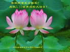 ���ֹ�,ʯ��ׯ�󷨵��ӹ������編�ִ�����ʦ�𻪵�(25��)