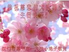Published on 5/10/2018 ���ֹ�,��С���ӹ������編�ִ�����ʦ�𻪵�(20��)