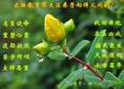 Published on 5/10/2018 ���ֹ�,����ϵͳ�󷨵��ӹ������編�ִ�����ʦ�𻪵�(20��)