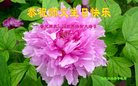 ���ֹ�,�����󷨵��ӹ������編�ִ�����ʦ�𻪵�(24��)