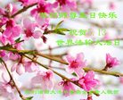 Published on 5/13/2018 ���ֹ�,��½�󷨵��ӹ������編�ִ�����ʦ�𻪵�(30��)
