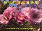 ���ֹ�,�żҿڴ󷨵��ӹ������編�ִ�����ʦ�𻪵�(22��)