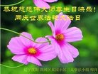 Published on 5/13/2018 ���ֹ�,��½�󷨵��ӹ������編�ִ�����ʦ�𻪵�(28��)
