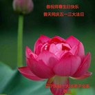 Published on 5/13/2018 ���ֹ�,��½�󷨵��ӹ������編�ִ�����ʦ�𻪵�(30��)