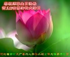 Published on 5/10/2018 ���ֹ�,����ҵ�󷨵��ӹ������編�ִ�����ʦ�𻪵�(33��)
