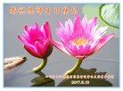 Published on 5/11/2018 ���ֹ�,���Ƿ���Ѻ�Ĵ󷨵��ӹ������編�ִ�����ʦ�𻪵�(22��)