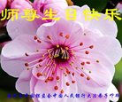 Published on 5/10/2018 ���ֹ�,����ҵ�󷨵��ӹ������編�ִ�����ʦ�𻪵�(33��)