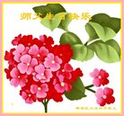 ���ֹ�,�ɶ��󷨵��ӹ������編�ִ�����ʦ�𻪵�(21��)