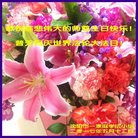 Published on 5/13/2018 ���ֹ�,��½�󷨵��ӹ������編�ִ�����ʦ�𻪵�(28��)