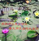 ���ֹ�,�����󷨵��ӹ������編�ִ�����ʦ�𻪵�(24��)