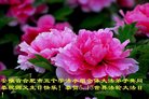 Published on 5/13/2018 ���ֹ�,��½�󷨵��ӹ������編�ִ�����ʦ�𻪵�(37��)
