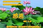 ���ֹ�,��ľ˹�󷨵��ӹ������編�ִ�����ʦ�𻪵�(21��)
