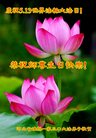 ���ֹ�,�����󷨵��ӹ������編�ִ�����ʦ�𻪵�(19��)