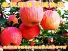 ���ֹ�,��������󷨵��ӹ������編�ִ�����ʦ�𻪵�(19��)