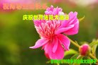 Published on 5/10/2018 ���ֹ�,���󷨵��ӹ������編�ִ�����ʦ�𻪵�(27��)