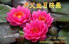 Published on 5/10/2018 ���ֹ�,��С���ӹ������編�ִ�����ʦ�𻪵�(21��)