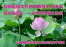Published on 5/10/2018 ���ֹ�,���󷨵��ӹ������編�ִ�����ʦ�𻪵�(27��)