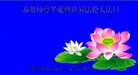 ���ֹ�,�ػʵ��󷨵��ӹ������編�ִ�����ʦ�𻪵�(22��)