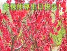 Published on 5/10/2018 ���ֹ�,��С���ӹ������編�ִ�����ʦ�𻪵�(21��)