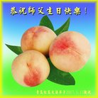 ���ֹ�,�ൺ�󷨵��ӹ������編�ִ�����ʦ�𻪵�(22��)