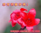 ���ֹ�,�������󷨵��ӹ������編�ִ�����ʦ�𻪵�(20��)