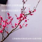 ���ֹ�,���մ󷨵��ӹ������編�ִ�����ʦ�𻪵�(25��)