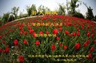 ���ֹ�,�ӱ��󷨵��ӹ������編�ִ�����ʦ�𻪵�(20��)